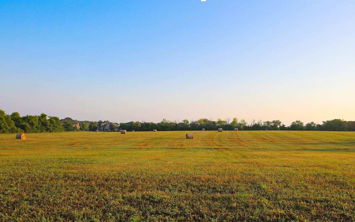 The Rise of the Lifestyle Property: Why More Buyers Near Rochester, Minnesota Are Choosing Land